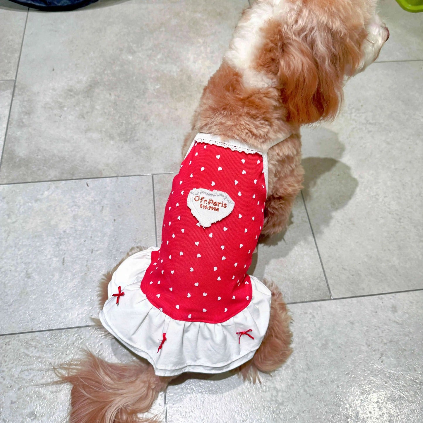 Red Polka Dot Dog Dress – Off-Paris Heart Embroidery Summer Pet Outfit | Cute Small Dog Skirt Dress for Girls
