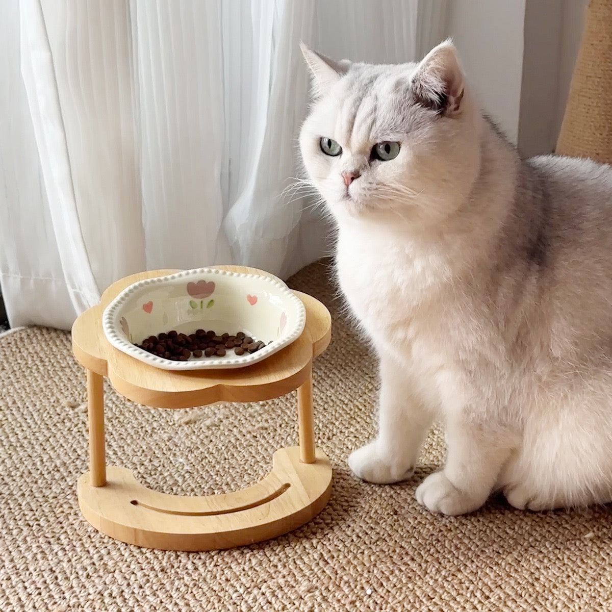Ceramic Pet Bowl with Elevated Wooden Stand