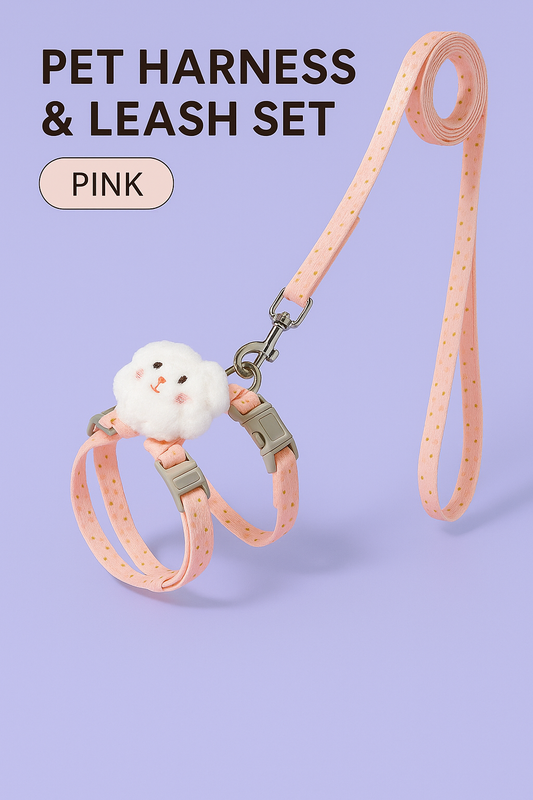 Pet Harness & Leash Set
